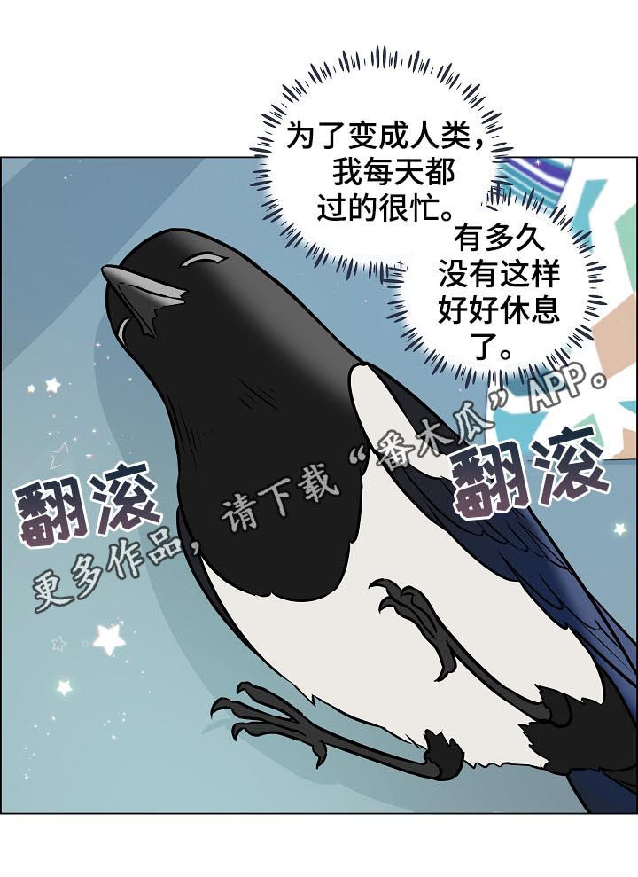 【单身税】漫画-（第70章离开）章节漫画下拉式图片-第1张图片