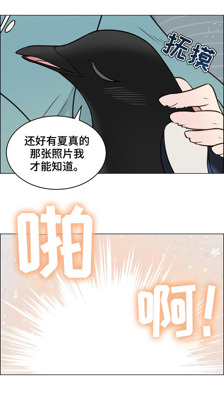 【单身税】漫画-（第76章相认）章节漫画下拉式图片-第4张图片