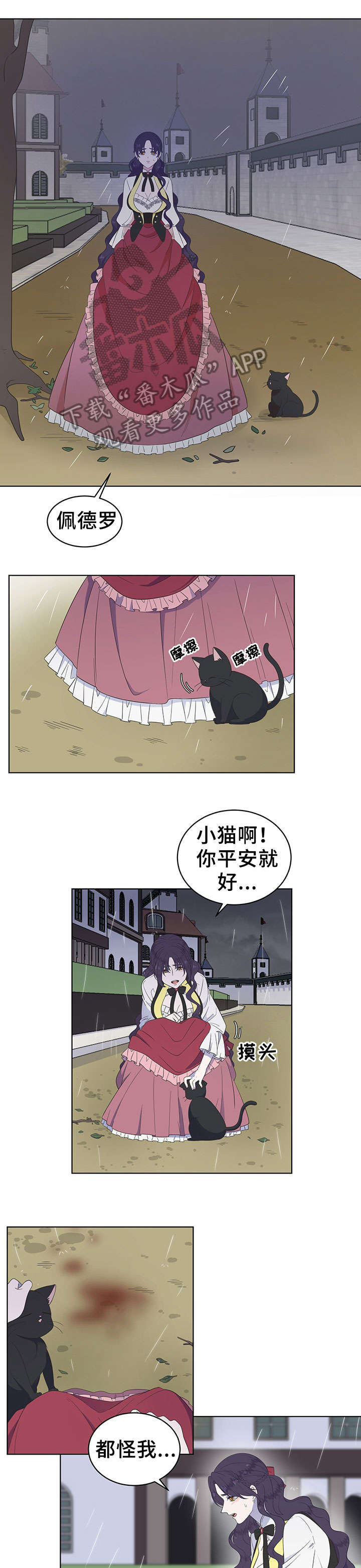 【王女的死刑期】漫画-（第17章受伤）章节漫画下拉式图片-8.jpg