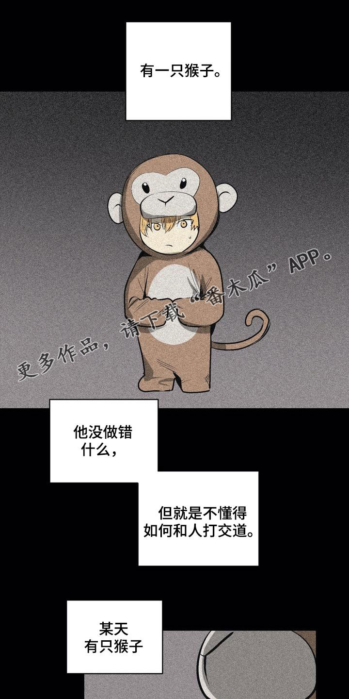 第106章【第二季】猴子的故事22