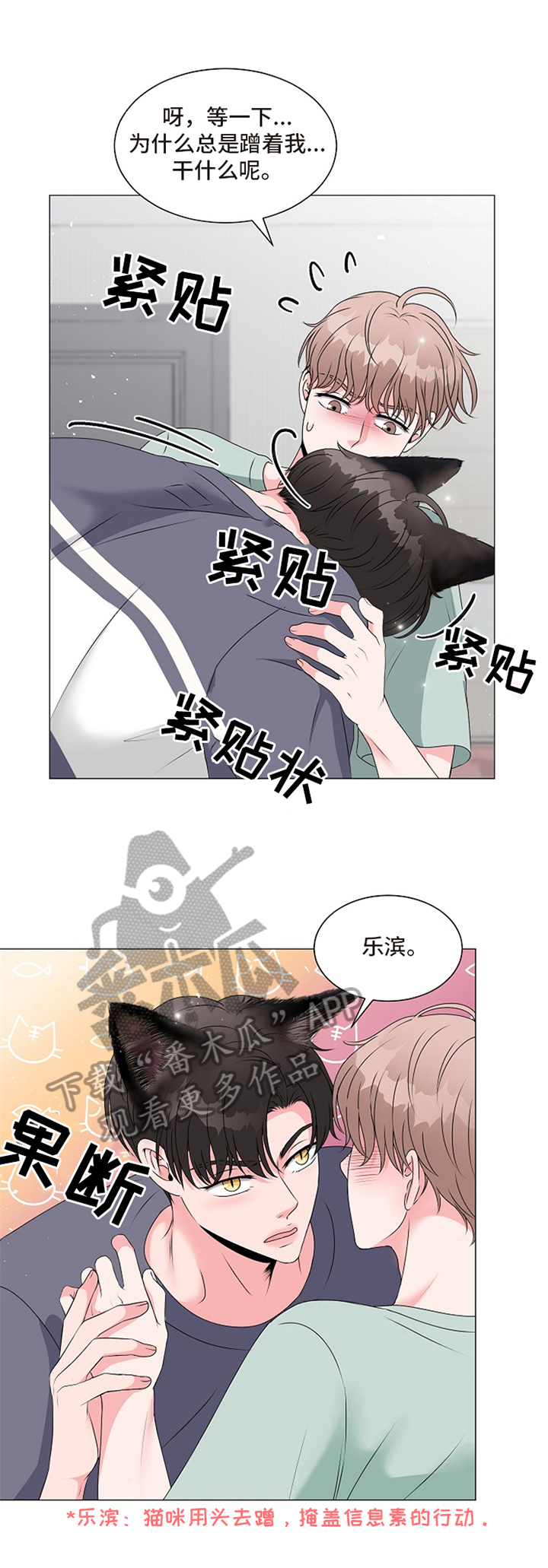 【猫猫初体验】漫画-（第5章不能继续）章节漫画下拉式图片-2.jpg