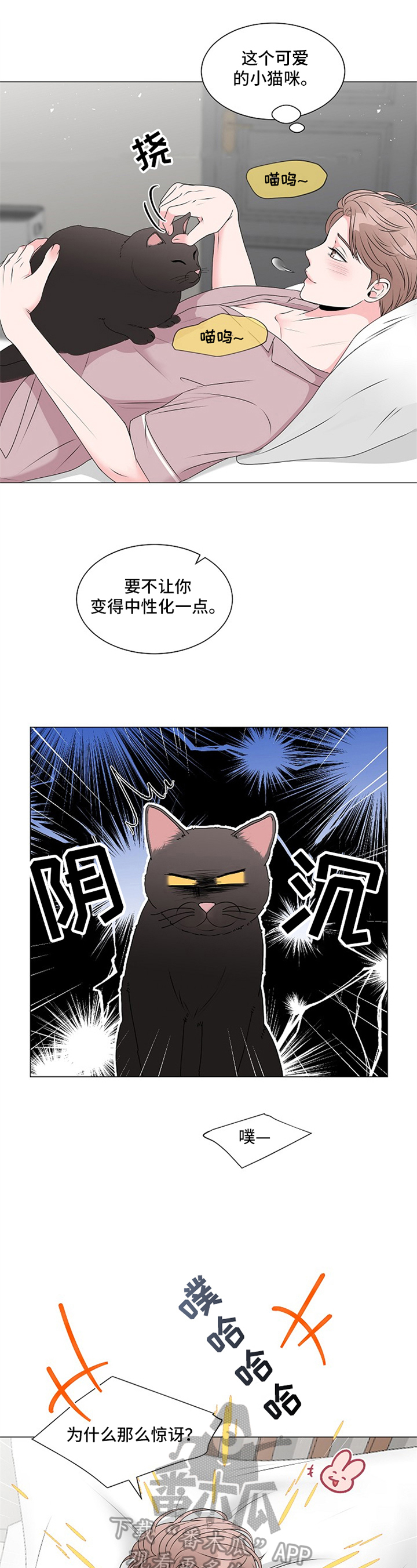 【猫猫初体验】漫画-（第9章回答）章节漫画下拉式图片-2.jpg