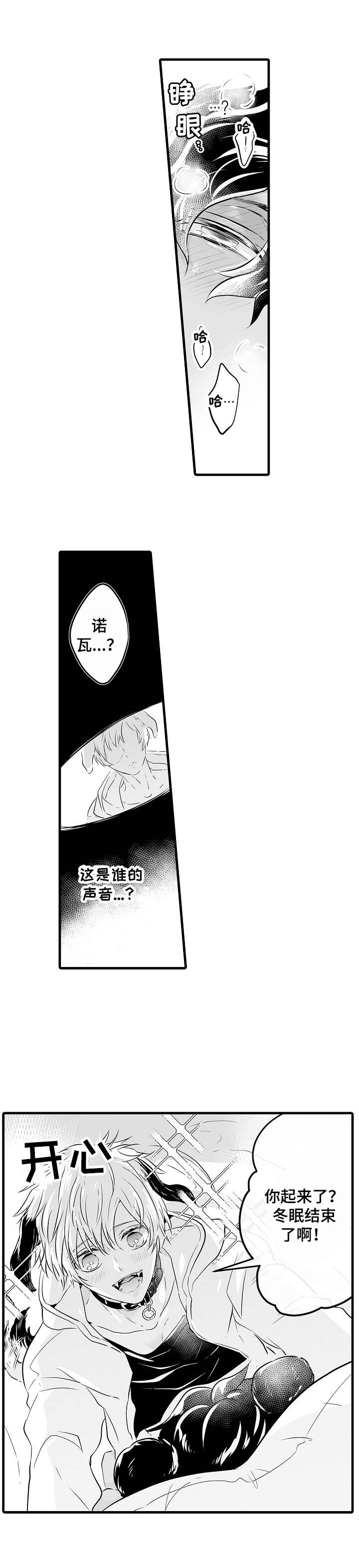 【森林中的熊】漫画-（第2章冬眠）章节漫画下拉式图片-11.jpg