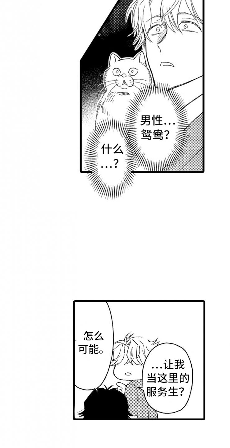 第2章还债手段11