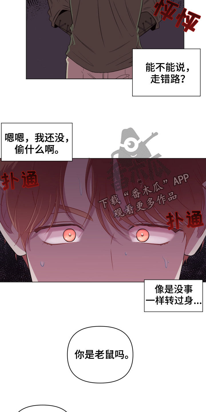 《糟糕异次元》漫画最新章节第31章无辜的人免费下拉式在线观看章节第【21】张图片