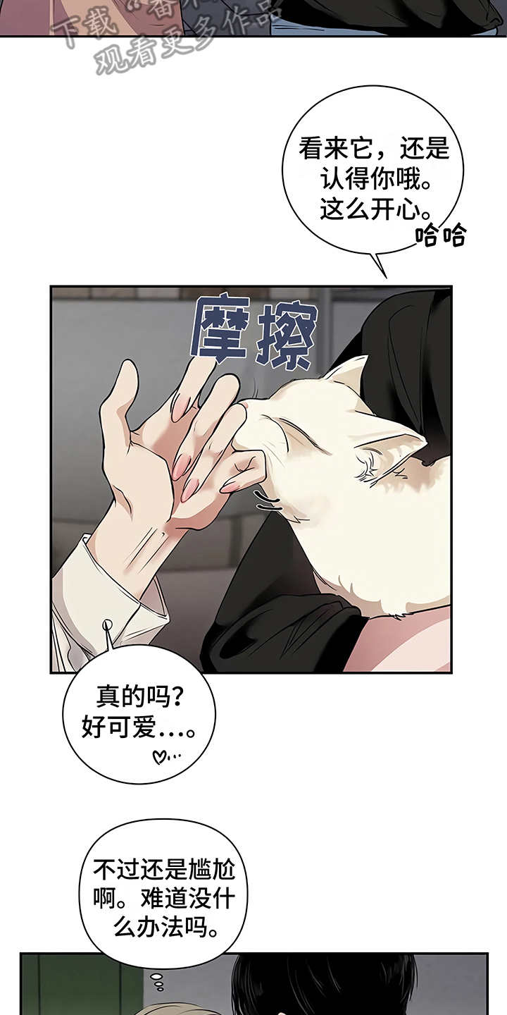 《毒蛇缠咬》漫画最新章节第21章很顺利免费下拉式在线观看章节第【5】张图片