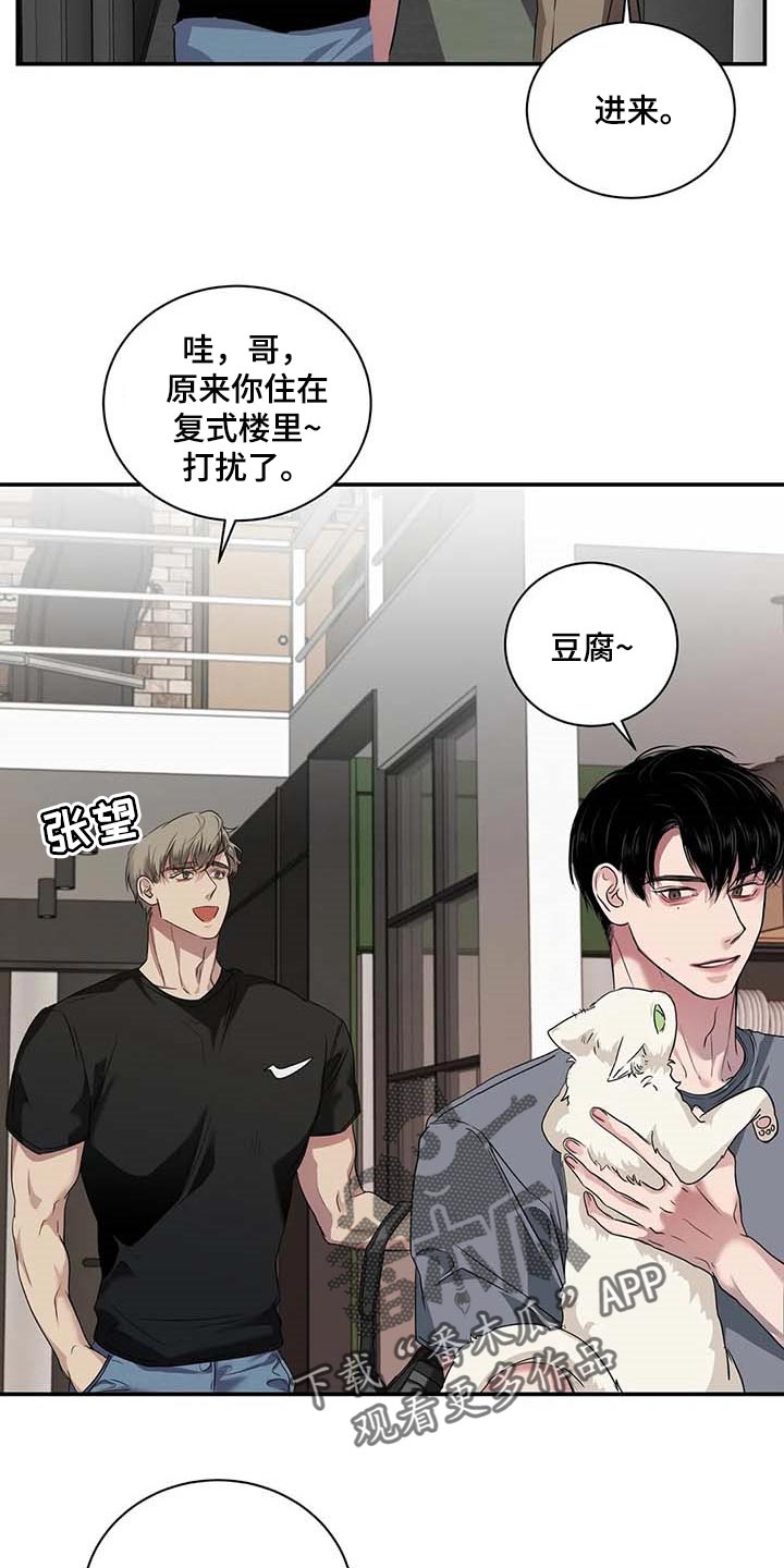 《毒蛇缠咬》漫画最新章节第38章好机会免费下拉式在线观看章节第【17】张图片