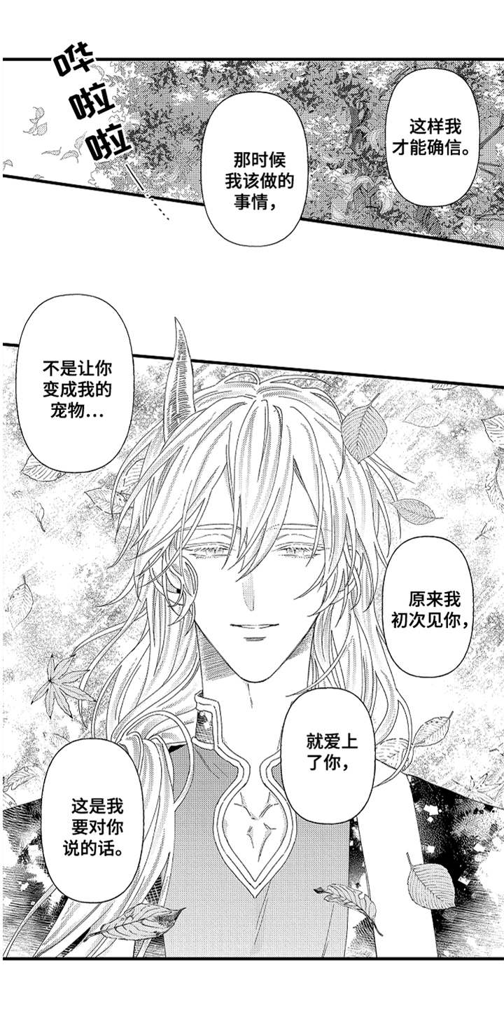 《神兽宠儿》漫画最新章节第26章心意免费下拉式在线观看章节第【9】张图片