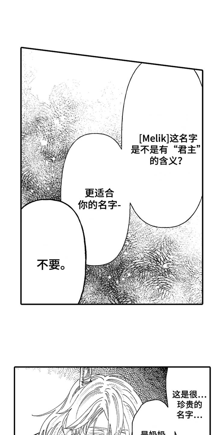 《神兽宠儿》漫画最新章节第3章不听话免费下拉式在线观看章节第【12】张图片