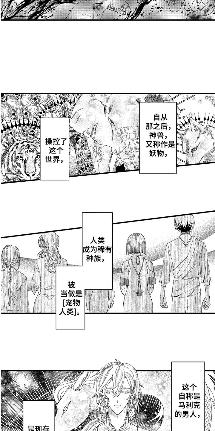 《神兽宠儿》漫画最新章节第2章宠物免费下拉式在线观看章节第【14】张图片