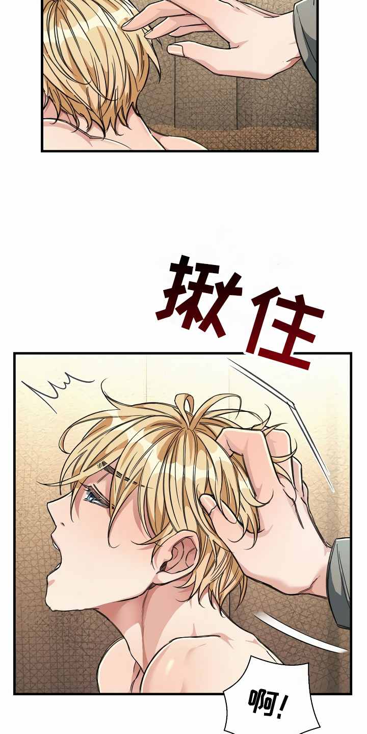 《绝望列车》漫画最新章节第22章经济舱玩具免费下拉式在线观看章节第【18】张图片