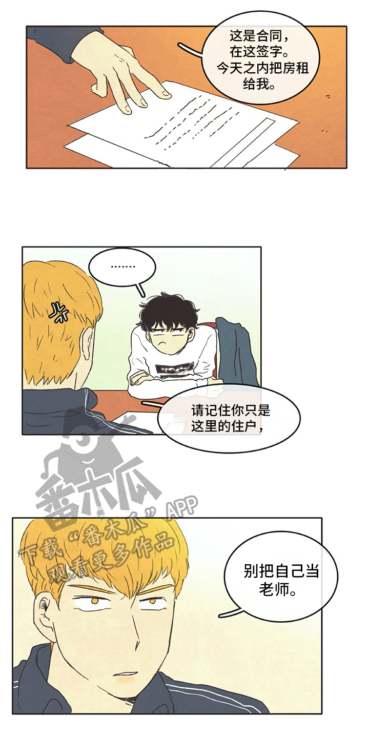 《同存简介》漫画最新章节第13章打算免费下拉式在线观看章节第【7】张图片