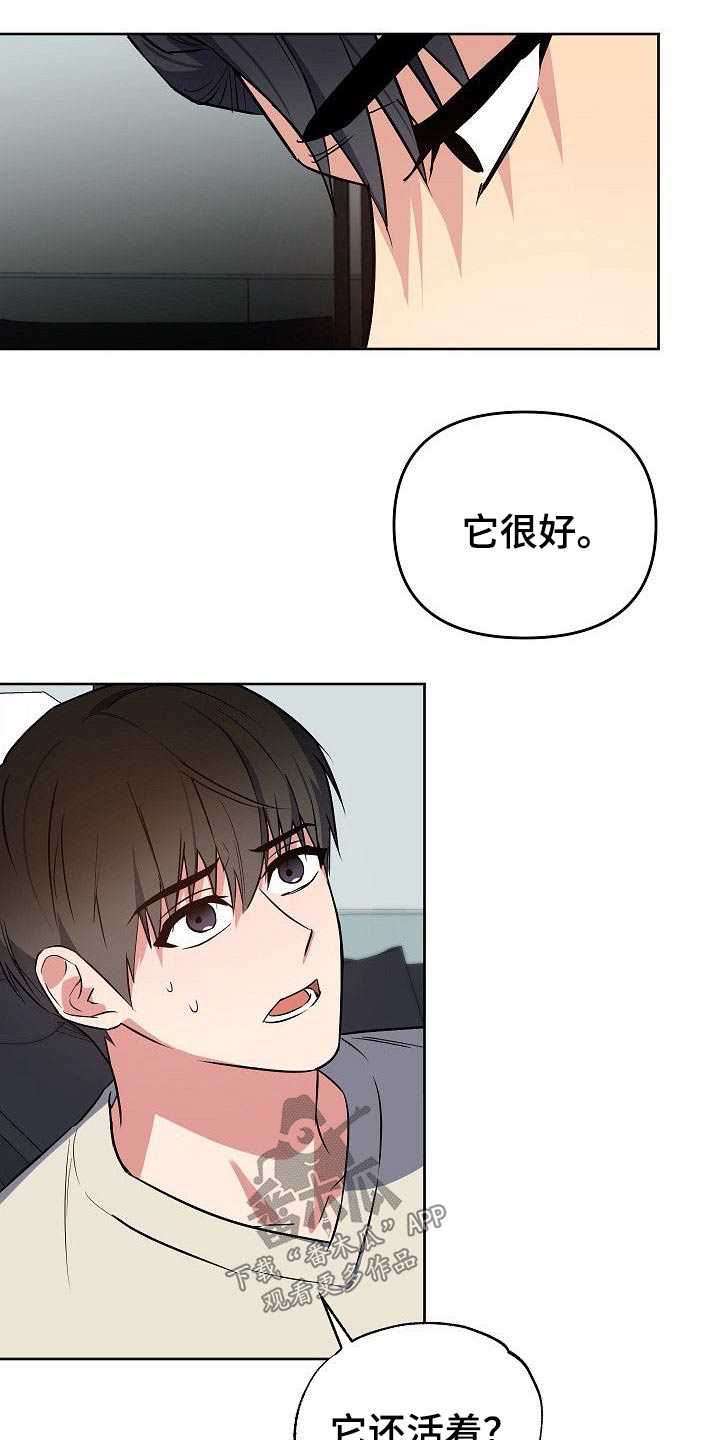 《歪打正着》漫画最新章节第33章小狗免费下拉式在线观看章节第【5】张图片