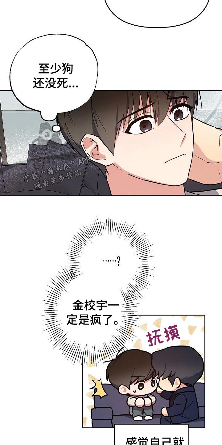 《歪打正着》漫画最新章节第33章小狗免费下拉式在线观看章节第【3】张图片