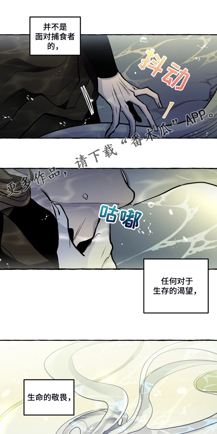 《神见人间》漫画最新章节第40章生命的敬畏免费下拉式在线观看章节第【16】张图片