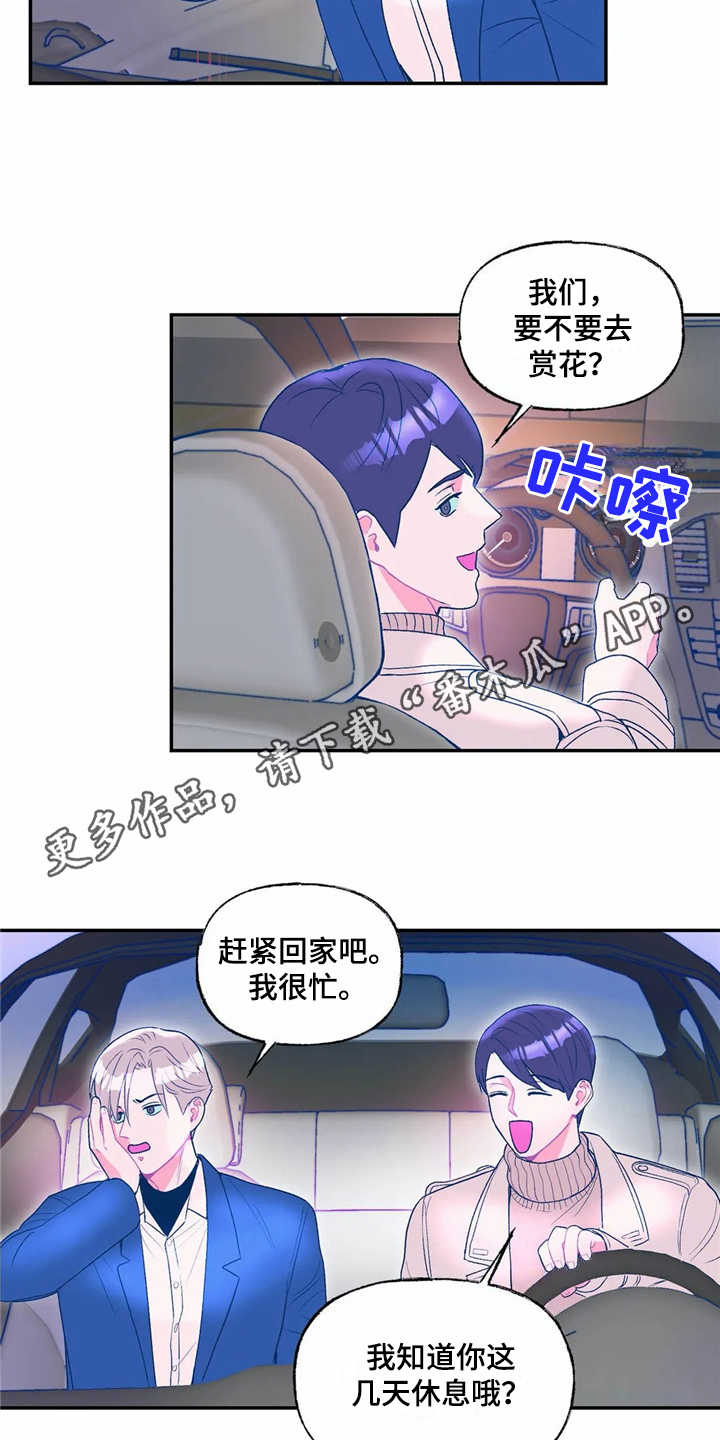 《高能研究所》漫画最新章节第17章表白免费下拉式在线观看章节第【15】张图片