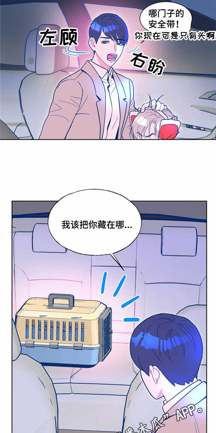 《高能研究所》漫画最新章节第8章潜入免费下拉式在线观看章节第【9】张图片