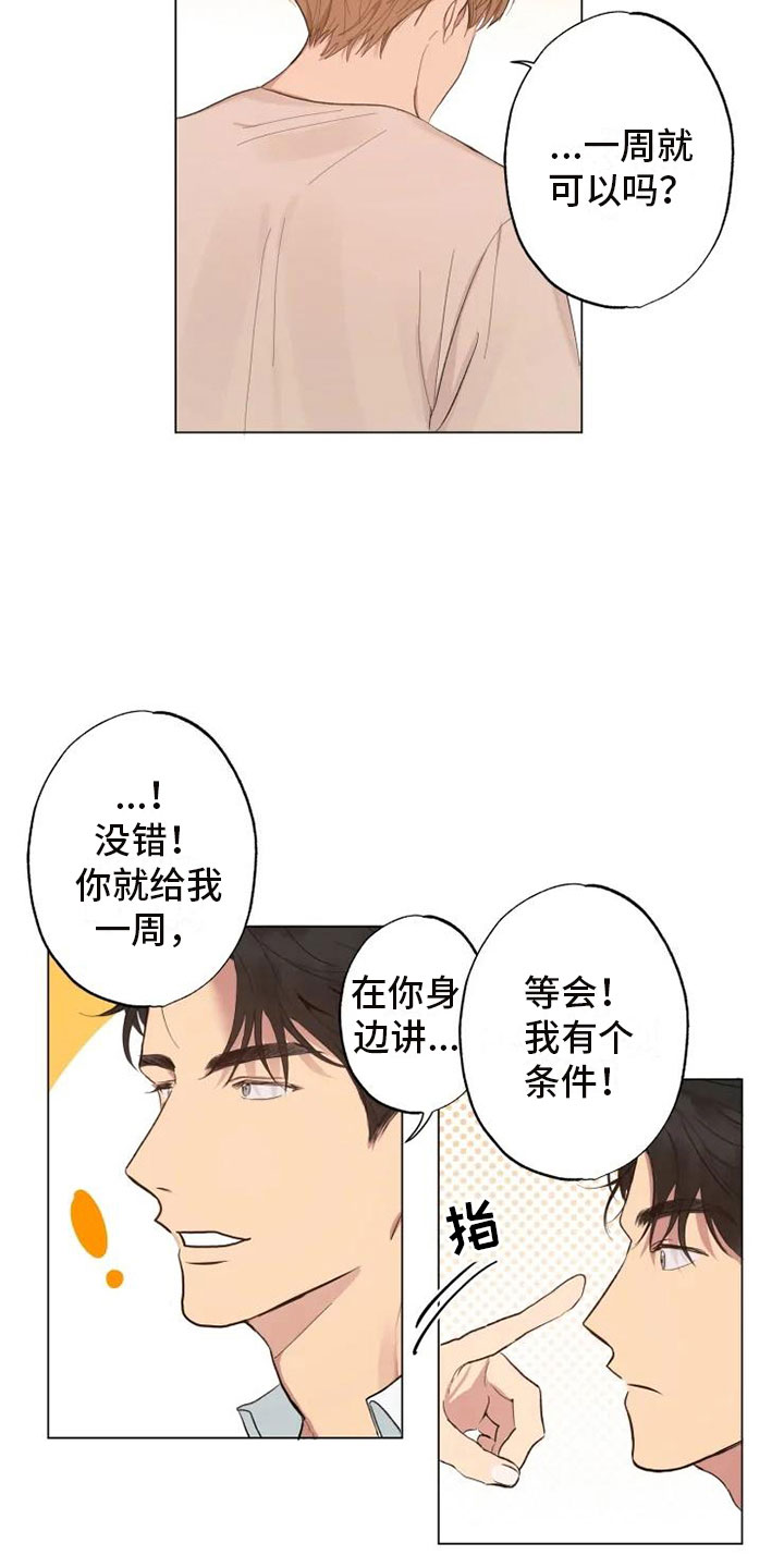 《雨中来客》漫画最新章节第3章同住一周免费下拉式在线观看章节第【18】张图片