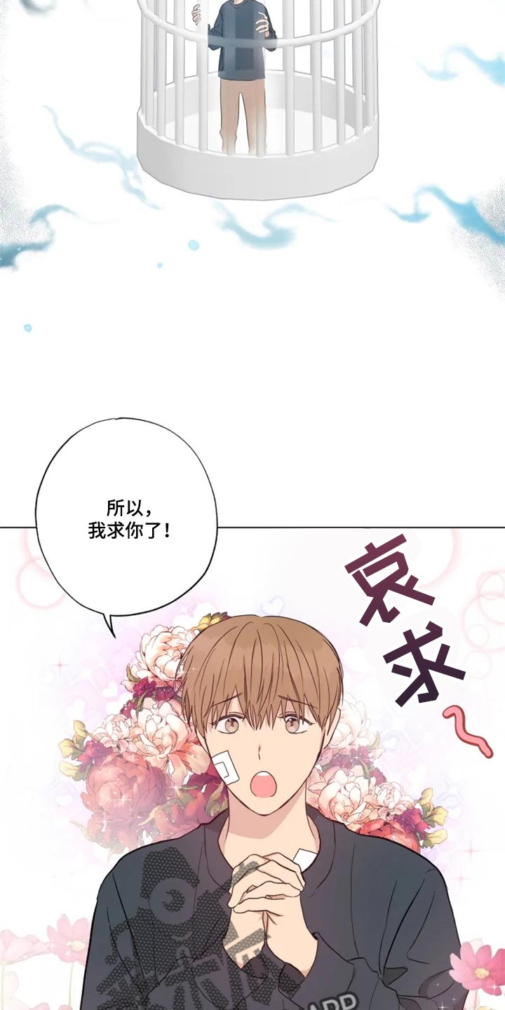 《雨中来客》漫画最新章节第18章答应免费下拉式在线观看章节第【11】张图片