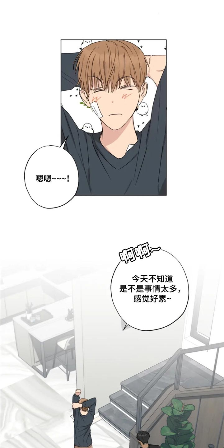 《雨中来客》漫画最新章节第19章信息材料免费下拉式在线观看章节第【25】张图片