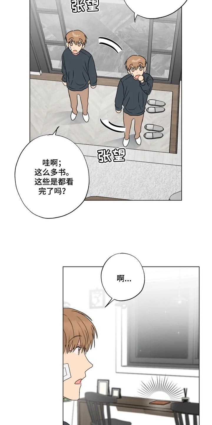 《雨中来客》漫画最新章节第19章信息材料免费下拉式在线观看章节第【19】张图片