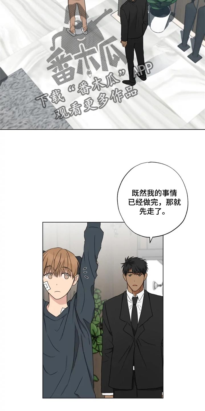 《雨中来客》漫画最新章节第19章信息材料免费下拉式在线观看章节第【24】张图片