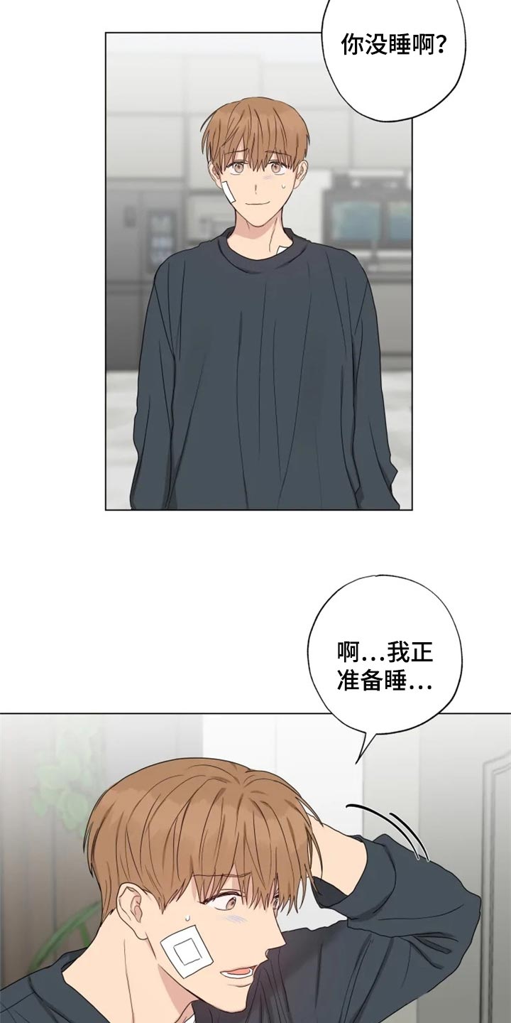 《雨中来客》漫画最新章节第20章消沉免费下拉式在线观看章节第【18】张图片