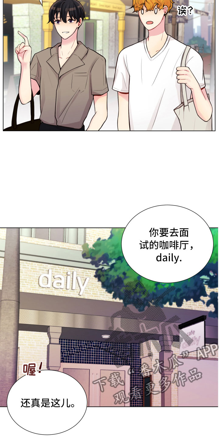 《禁止恋爱对象》漫画最新章节第13章面试合格免费下拉式在线观看章节第【18】张图片