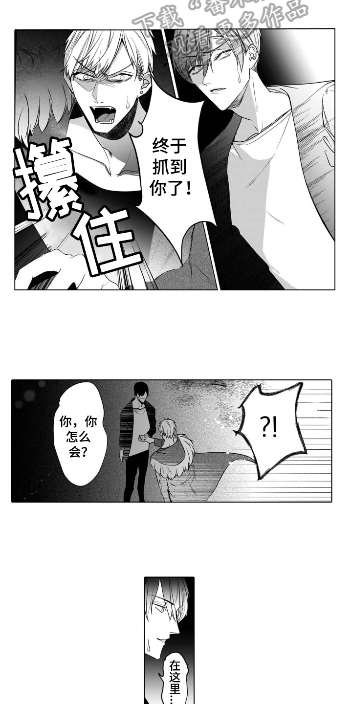 《老虎的猎物》漫画最新章节第17章想念免费下拉式在线观看章节第【3】张图片