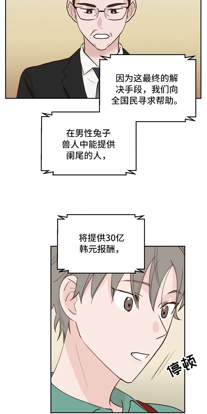 【龟兔同行】漫画-（第1章民间疗法）章节漫画下拉式图片-14.jpg