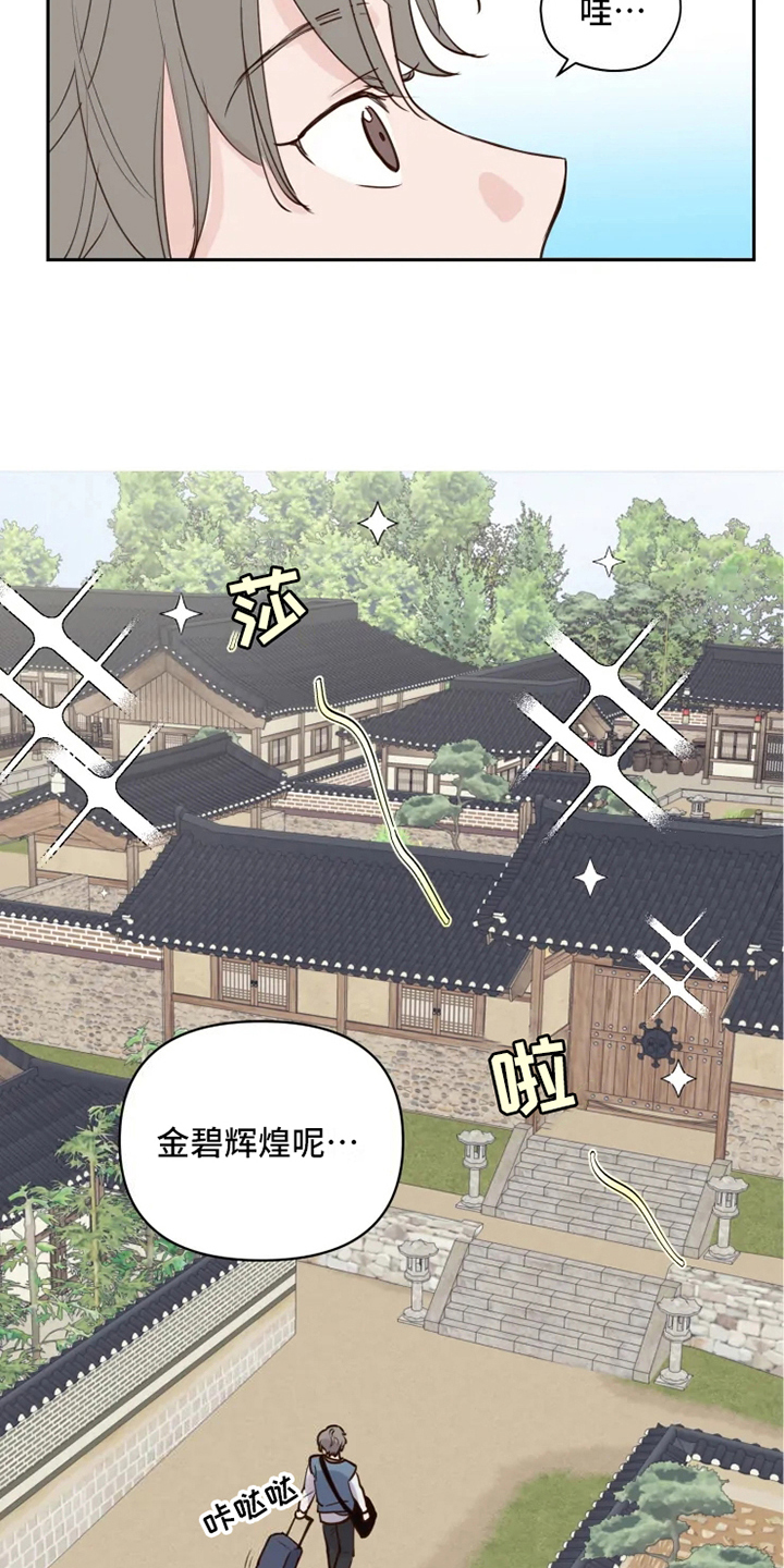 《龟兔同行》漫画最新章节第2章到达免费下拉式在线观看章节第【15】张图片