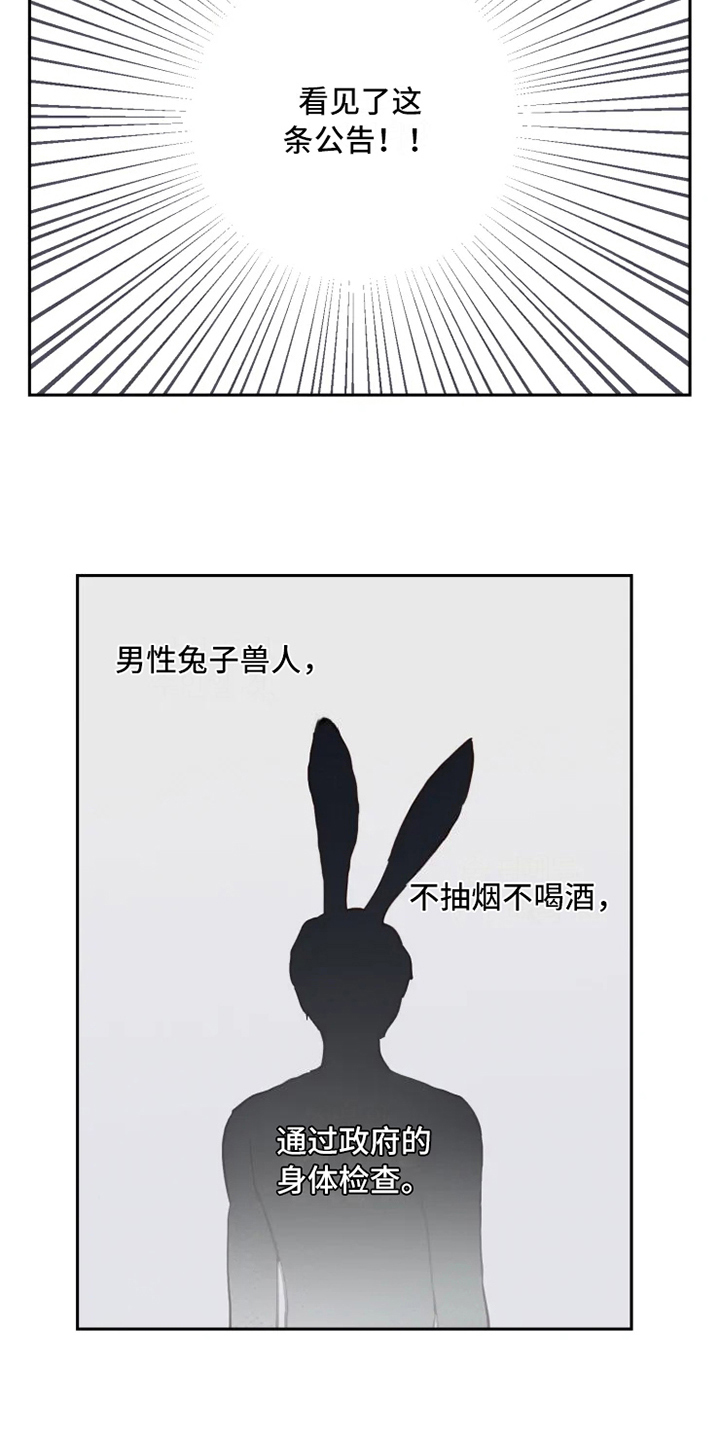 《龟兔同行》漫画最新章节第2章到达免费下拉式在线观看章节第【5】张图片