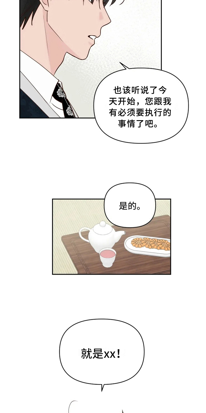 《龟兔同行》漫画最新章节第3章安排免费下拉式在线观看章节第【13】张图片