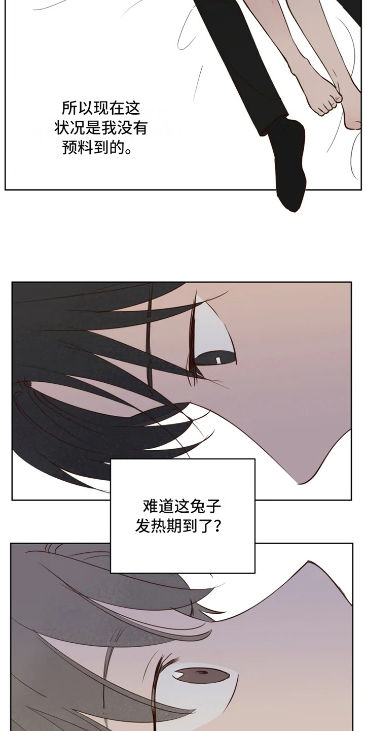 《龟兔同行》漫画最新章节第7章不情愿免费下拉式在线观看章节第【11】张图片