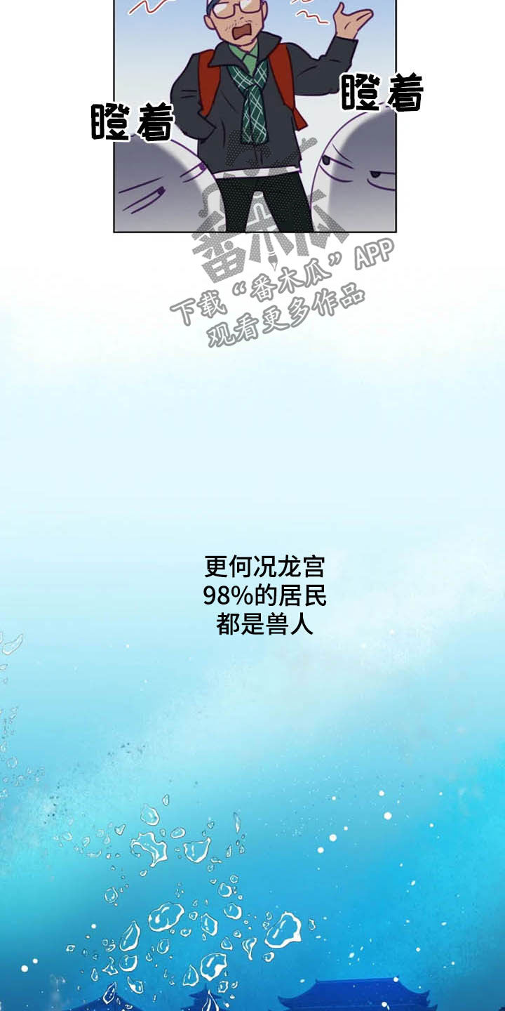 《龟兔同行》漫画最新章节第18章特别大使免费下拉式在线观看章节第【19】张图片