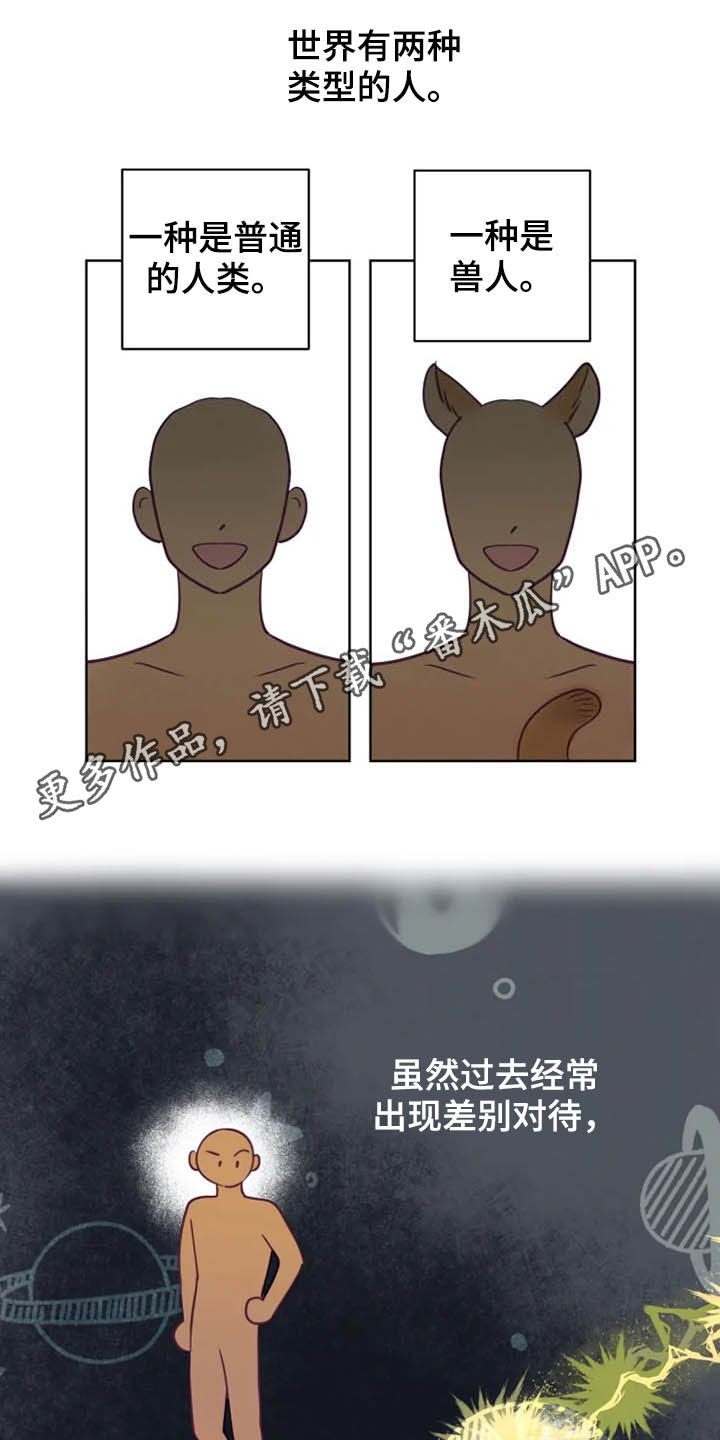 《龟兔同行》漫画最新章节第18章特别大使免费下拉式在线观看章节第【22】张图片