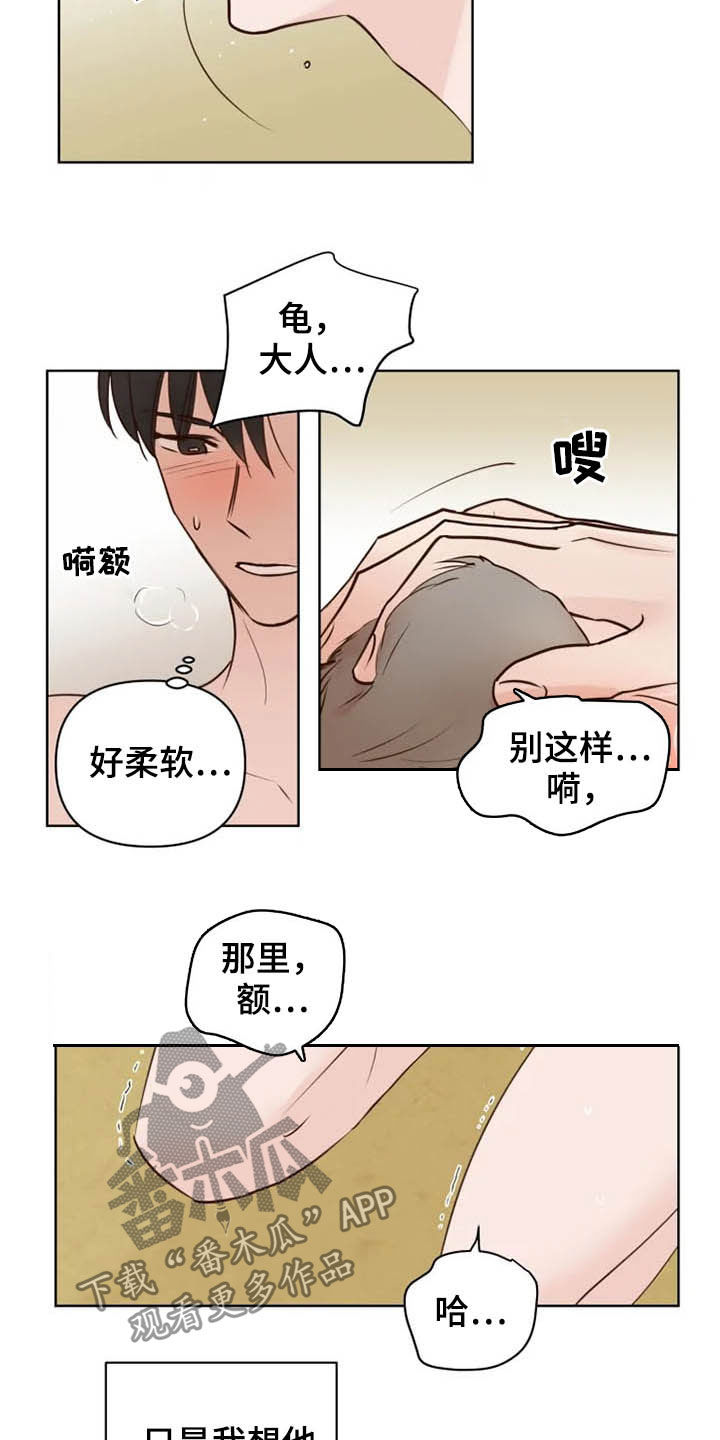 《龟兔同行》漫画最新章节第18章特别大使免费下拉式在线观看章节第【15】张图片