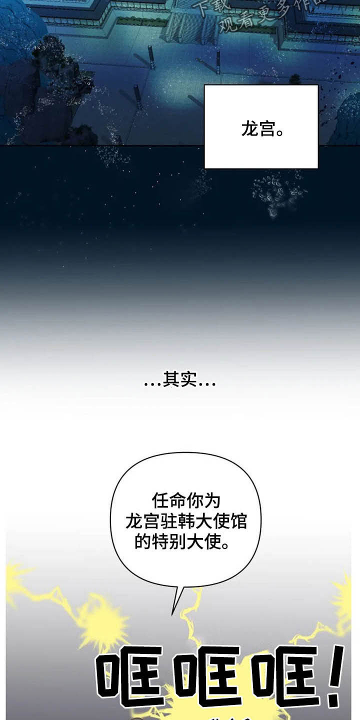 《龟兔同行》漫画最新章节第18章特别大使免费下拉式在线观看章节第【3】张图片