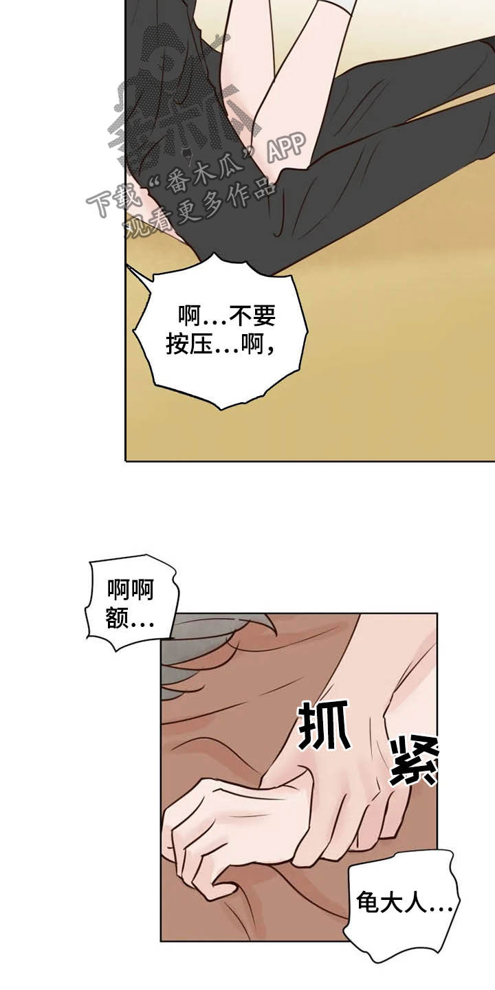 《龟兔同行》漫画最新章节第19章任重道远免费下拉式在线观看章节第【11】张图片