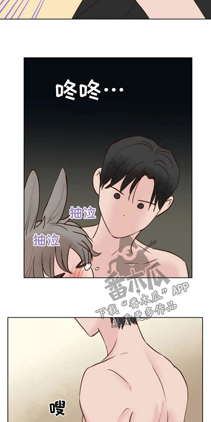 《龟兔同行》漫画最新章节第19章任重道远免费下拉式在线观看章节第【6】张图片