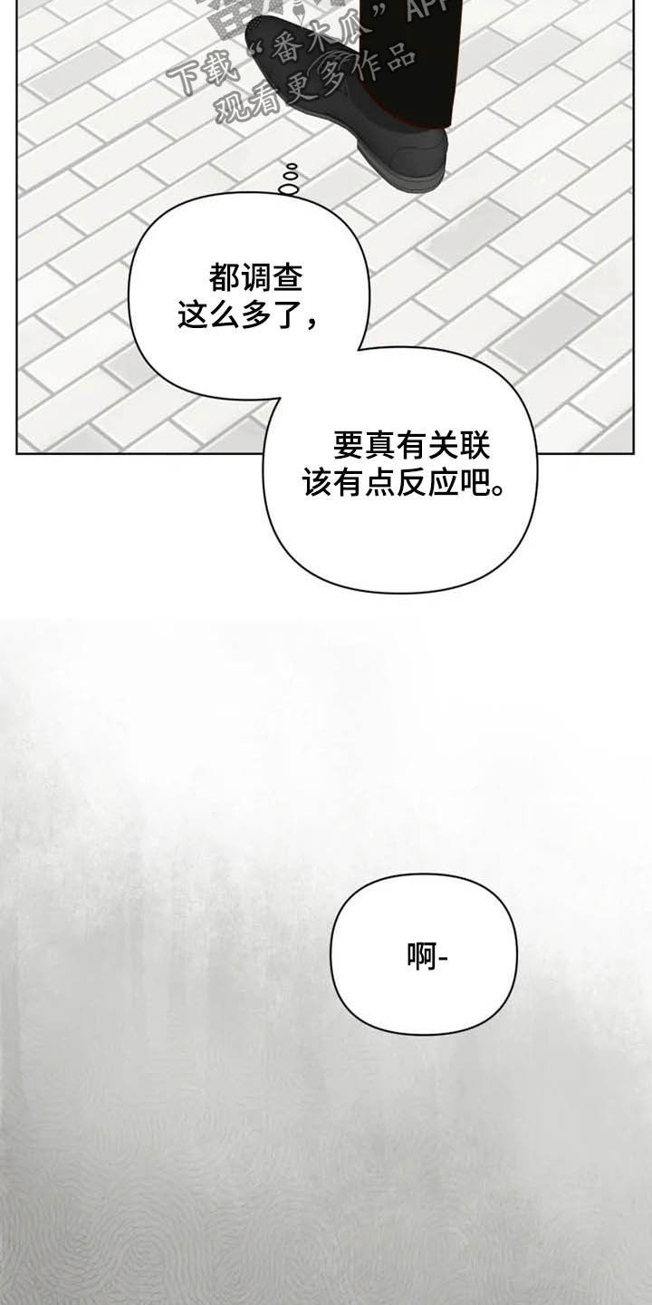 《龟兔同行》漫画最新章节第23章调查免费下拉式在线观看章节第【4】张图片