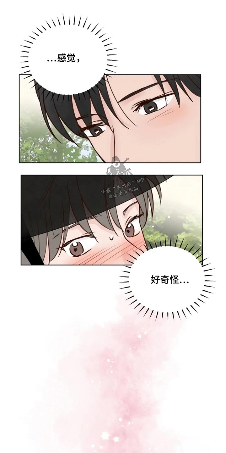 《龟兔同行》漫画最新章节第31章怎么办免费下拉式在线观看章节第【11】张图片