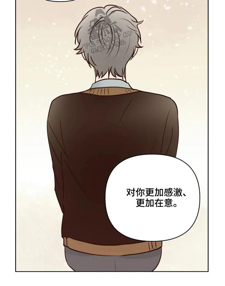 《龟兔同行》漫画最新章节第37章不可以免费下拉式在线观看章节第【13】张图片