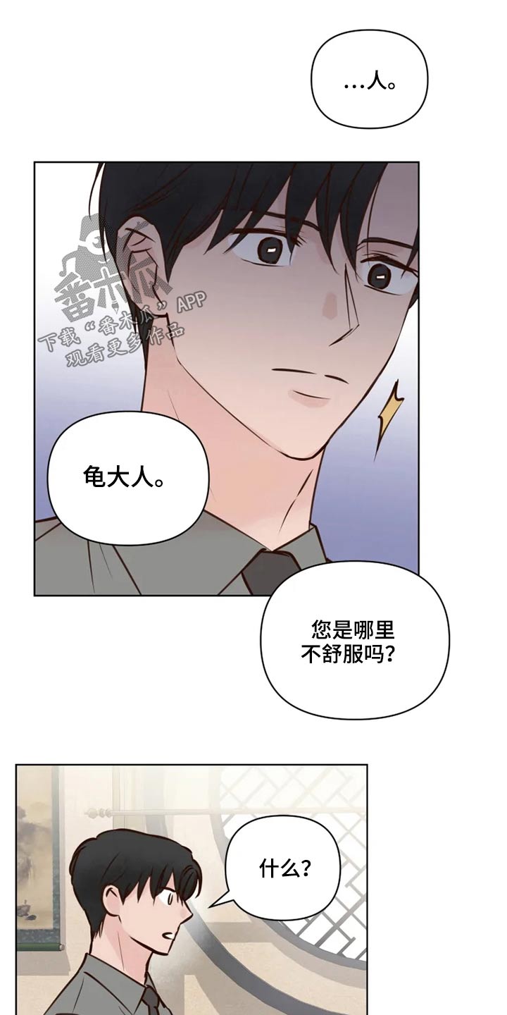 《龟兔同行》漫画最新章节第40章问题免费下拉式在线观看章节第【3】张图片