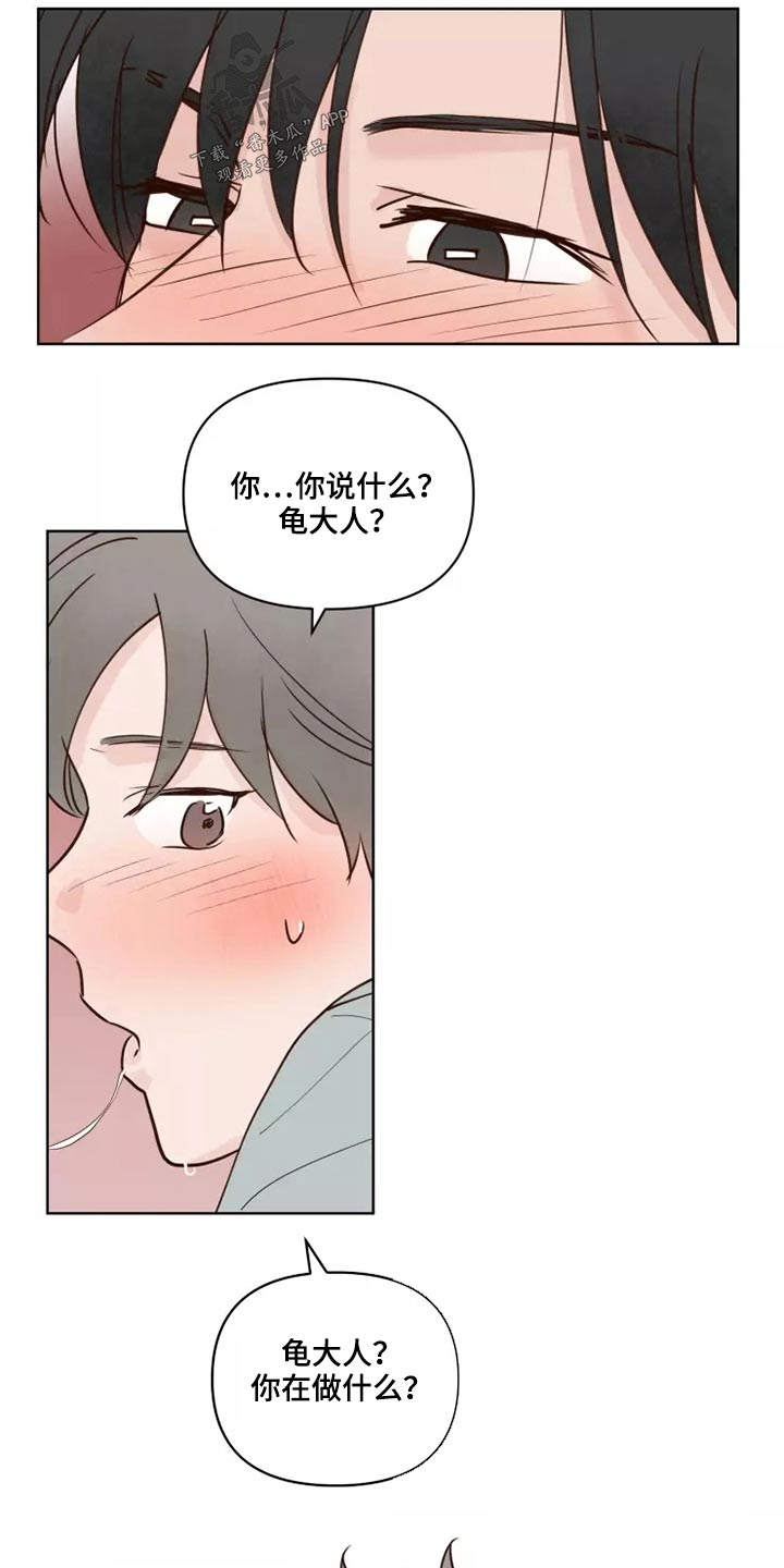 《龟兔同行》漫画最新章节第42章愿意免费下拉式在线观看章节第【12】张图片