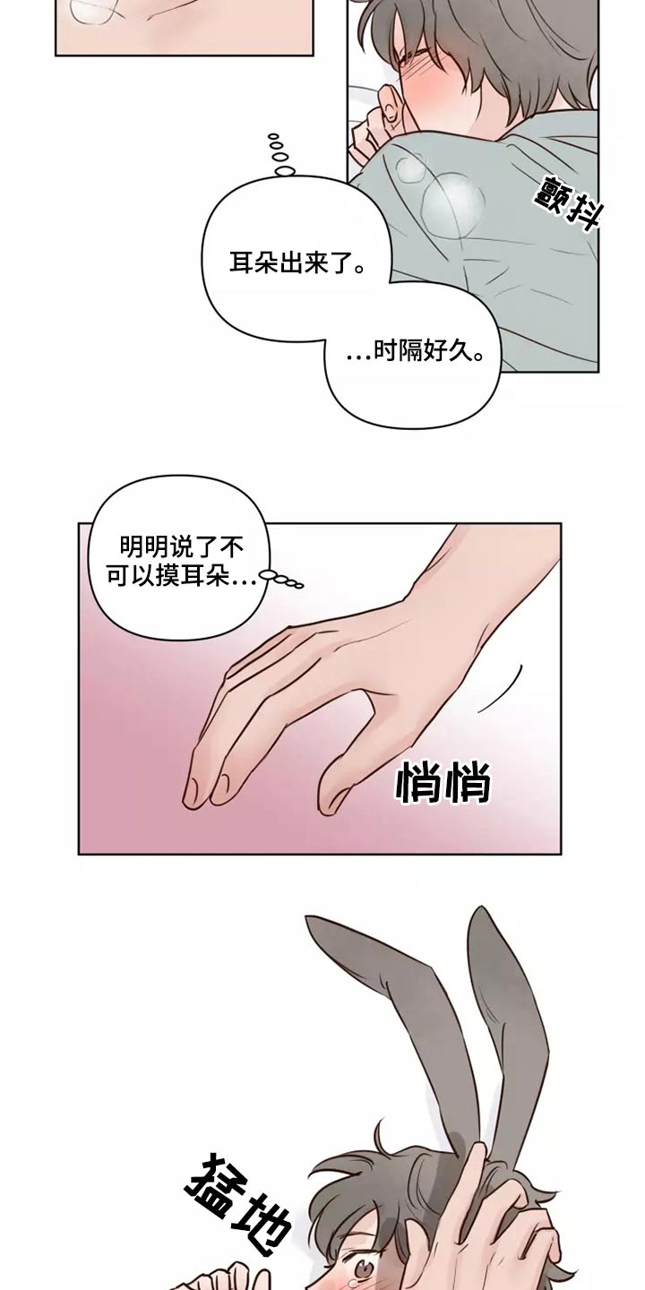 《龟兔同行》漫画最新章节第42章愿意免费下拉式在线观看章节第【8】张图片