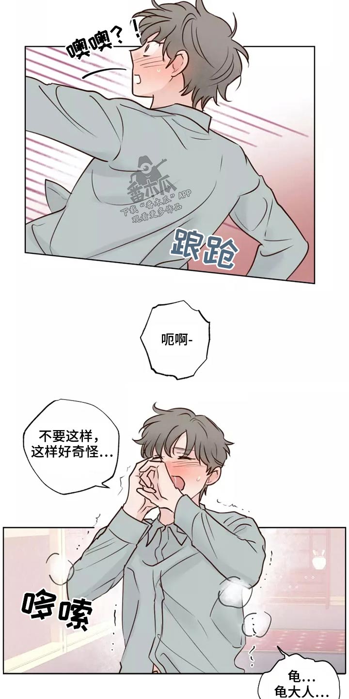 《龟兔同行》漫画最新章节第42章愿意免费下拉式在线观看章节第【11】张图片