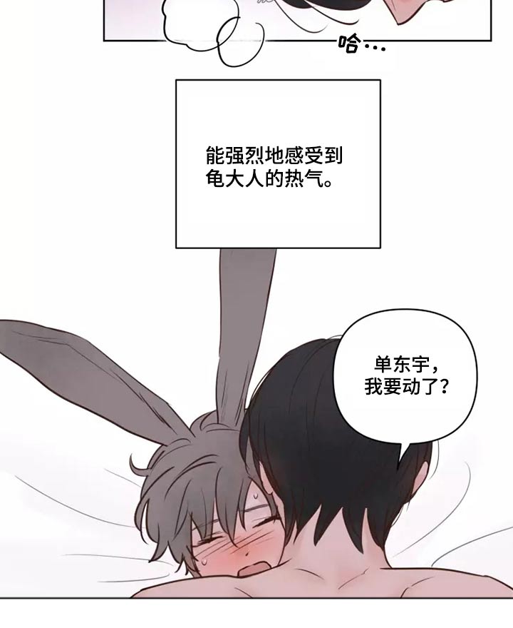 《龟兔同行》漫画最新章节第43章耳朵免费下拉式在线观看章节第【20】张图片