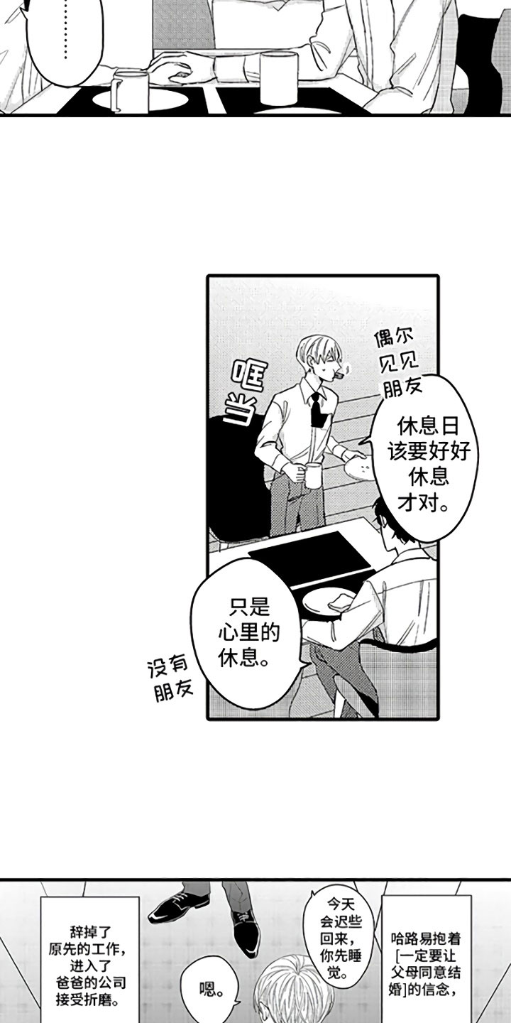 《婚姻协奏曲》漫画最新章节第1章恋人与家庭免费下拉式在线观看章节第【12】张图片