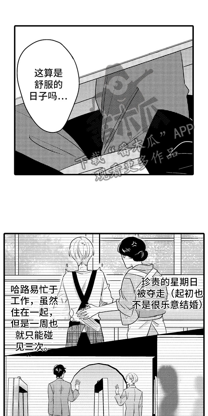 《婚姻协奏曲》漫画最新章节第5章久违的重逢免费下拉式在线观看章节第【17】张图片